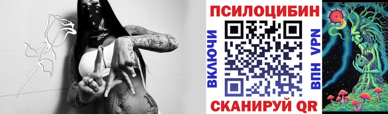 кракен   Волгоград  Галлюциногенные грибы прущие грибы 