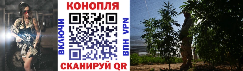 блэк спрут рабочий сайт  Волгоград  Шишки марихуана гибрид 